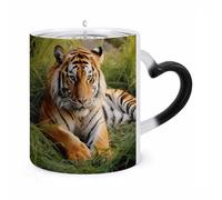 KLJHNVBM Tiger Laying on The Grass Color Changing Coffee Mugs 11 Oz Heat Changing Mug Magic Ceramic Mugs Novelty Tea Cup Hidden Message Coffee Mug for Birthday, Christmas, Funny Gifts