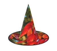 KLJnmbb Fall Red Leaves And Fruits Print Unisex Halloween Witch Hat Adults And Teens Cap Parties Carnivals Costumes Caps