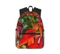 KLJnmbb Fall Red Leaves And Fruits Print Unisex Lightweight Casual Backpack Water-Resistant Commuting Outdoor Adventures