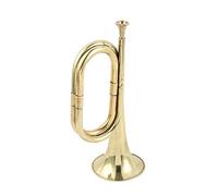 KLKL Standard Trumpets Bugle Step Horn Trumpet Trumpet School Drum Horn Trumpet Trumpet Wind Instrument Trumpet Instrument (Color : 02)