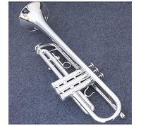 KLKL Standard Trumpets New Professional TR210S Bb Trumpet Black Nickel Gold Plated Yellow Brass Instruments Bb Trumpete Popular Musical Silver Trumpet Instrument (Color : Silver)