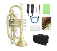 KLKL Standard Trumpets Professional Cornet Brass Instrument With Carrying Case Gloves Cleaning Cloth Brushes Bb Flat Cornet Trumpet Instrument (Color : Gold)