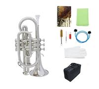 KLKL Standard Trumpets Silver Professional Bb Flat Cornet Brass Instrument With Carrying Case Gloves Cleaning Cloth Brushes Trumpet Instrument