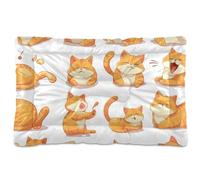 KLL A Set of Cute Orange Fat Cat Washable Pet Bed Mat Soft Anti-Slip Cat Kennel Crate Pad for Large Jumbo Medium Small Dogs 36" x 24"