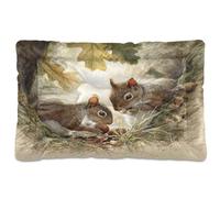 KLL Cute Squirrel Eating Nuts Washable Dog Sleeping Mattress Soft Comfortable Anti-Slip Bottom Dog Cat Bed for Medium/Large Dogs 24" x 18"