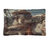 KLL Detector Squirrel Cute Outside Washable Pet Sleeping Mat Soft Comfortable Anti-Slip Bottom Kennel Pad for Medium/Large Dogs 36" x 24"