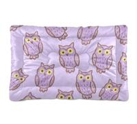 KLL Fake Glitter Sequins Owl Bird Purple Washable Pet Mattress Non-Slip Soft Comfortable Cat Kennel Crate Pad for Large Jumbo Medium Small Dogs 36" x 24"