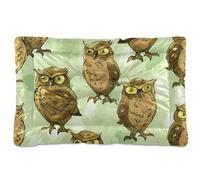 KLL Light Green Background Little Brown Owls Washable Pet Sleeping Mat Soft Comfortable Anti-Slip Bottom Dog Crate Pad for Medium/Large Dogs 36" x 24"