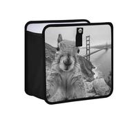 KLL The Golden Gate Bridge Hanging Foldable Camp Trash can Hanging Garbage can for Back Container bin for Women Men Road Trip Essentials