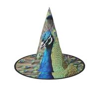 KLLTYHMU 2 Pcs Halloween Witch Hats The Peacock Witches Hat Mens Womens Floating Hats Costume Accessories Indoor Outdoor Halloween Decorations For Porch Yard Indoor Outdoor Decor Party Supplies