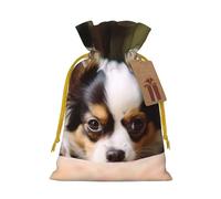 KLLTYHMU Christmas Drawstring Gift Bags Papillon Lying On Tummy Reusable Christmas Wrapping Bag W/Tags Xmas Treat Pouch Goody Bags Candy Treat Bag For Xmas Holiday Presents Party Favor 4.7x6.9 Inch