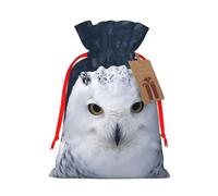 KLLTYHMU Christmas Drawstring Gift Bags Snow Owl Reusable Christmas Wrapping Bag W/Tags Xmas Treat Pouch Goody Bags Candy Treat Bag For Xmas Holiday Presents Party Favor 4.7x6.9 Inch