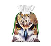 KLLTYHMU Christmas Drawstring Gift Bags Watercolor Cool Owl Head Reusable Christmas Wrapping Bag W/Tags Xmas Treat Pouch Goody Bags Candy Treat Bag For Xmas Holiday Presents Party Favor 4.7x6.9 Inch
