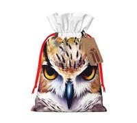 KLLTYHMU Christmas Drawstring Gift Bags Watercolor Cool Owl Head Reusable Christmas Wrapping Bag W/Tags Xmas Treat Pouch Goody Bags Candy Treat Bag For Xmas Holiday Presents Party Favor 8.3x11.8 Inch