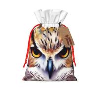 KLLTYHMU Christmas Drawstring Gift Bags Watercolor Cool Owl Head Reusable Christmas Wrapping Bag W/Tags Xmas Treat Pouch Goody Bags Candy Treat Bag For Xmas Holiday Presents Party Favor 8.3x11.8 Inch