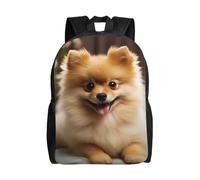 KLLTYHMU Cute Pomeranian Dog Travel Laptop Backpack Waterproof Lightweight Cute Backpack For Women Men Casual Daypack