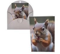 KLOPH All Occasion Greetings Cards with Envelopes Thinking of You Card Blank Note Card Cute Squirrel Greeting Cards for Birthday, Baby Shower, Congratulations Wedding Thank Youcard