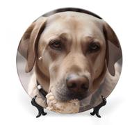 KLWQR Bone China Decorative Plate Dog Eats Ice Cream Cone Ceramic Decorative Plates with Display Stand 6inch Handmade Ceramic Ornament Wall Art Decor for Home Kitchen Bedroom Decorative Ornaments