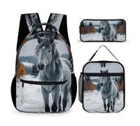 KLWQR Gray Horse in Winter Landscape Snowy Wilderness Backpack for Women Men Lightweight Waterproof Backpack Set With Lunch Box Pencil Case Travel Laptop Backpack Casual Daypacks, Style, One Size