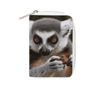KLWQR RFID Credit Card Holder Wallets for Women Cute Small Leather Ladies Cardholder Wallets Monkey Lemur Cute Card Organizer Case with Zipper, style, 16x11.5cm