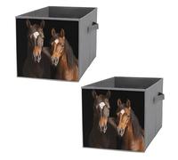 KLWQR Storage Cube Bins Collapsible Waterproof Cube Storage Bin Storage Basket with Handles Two Horses Standing on Black Background Toy Storage Box for Home Closets Offices Bedrooms 2PCS