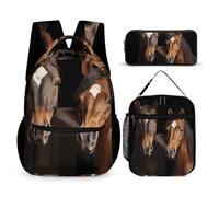 KLWQR Two Horses Standing on Black Background Backpack for Women Men Lightweight Waterproof Backpack Set With Lunch Box Pencil Case Travel Laptop Backpack Casual Daypacks, Style, One Size