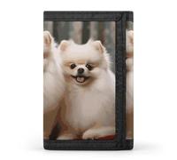 KLWQR Wallet for Women Men Trifold Wallets with Keychain Holder Short-haired Pomeranian DogZipper Coin Purse RFID Credit Card Holder Cute Cash Purse
