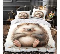 KLZXCVBNMQW 3D Print 3-Piece Bedding Set Bed Decor Zipper Closure Extra Cute Hedgehog Comforter Cover Durable Anti-allergic for Kids,Teens,Adults Watercolor Coon Quilt Cover Double（200x200cm）