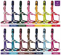 KM Elite Headcollar Grey