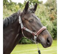 KM Elite Leather Webbing Headcollar - Large - Full