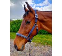 KM Elite Leather Webbing Headcollar Navy Contrast Black Leather - Medium