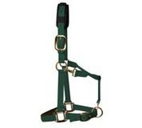 Km Elite Padded Headcollar - Large (Full) · Hunter Green