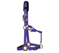 KM Elite Luxury Padded Headcollar: Purple: Large