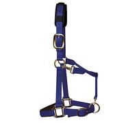 Km Elite Padded Headcollar - Medium (Cob) · Royal Blue