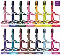 Km Elite Padded Headcollar - Small (Large Pony) · Royal Blue