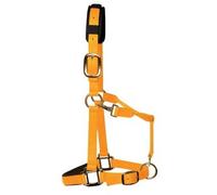 KM Elite Padded Headcollar - Large (Full) - Orange