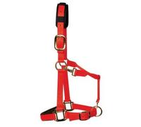 KM Elite Padded Headcollar - Large (Full) - Red