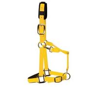 KM Elite Padded Headcollar - Large (Full) - Yellow