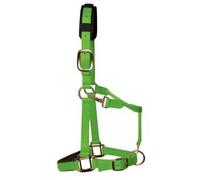 KM Elite Padded Headcollar - Medium (Cob) - Hot Green