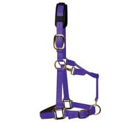 KM Elite Padded Headcollar - Medium (Cob) - Purple