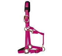 KM Elite Padded Headcollar - Medium (Cob) - Raspberry