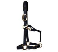 KM Elite Padded Headcollar - XL (XFull) - Black