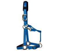 KM Elite Padded Headcollar - XXXS (Shetland) - Teal Blue