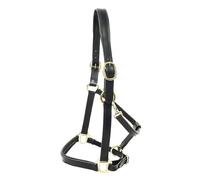 KM Elite Padded Leather Headcollar - Medium (Cob) - Black
