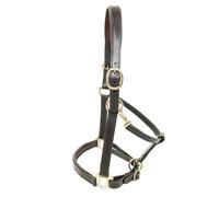 KM Elite Padded Leather Headcollar - Small (Large Pony) - Havana