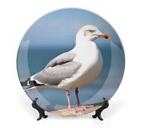 KMRHOUTIQ 10inch Bone China Decorative Plates for Wall Hanging with Display Stand Chinese Porcelain Cute Seagull Dessert Plate Display Dish Collections Ceramic Ornament Art Craft Home Office Decor
