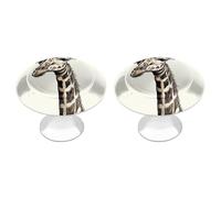 KMRHOUTIQ 2 Pack 1.1 Inch (28 Mm) Round Giraffe Drawer Knobs Modern Kitchen Cabinet Knob Hardware Handles Decorative Furniture Knobs for Dresser, Cupboards, Wardrobes, Bifold Door, Closet Door