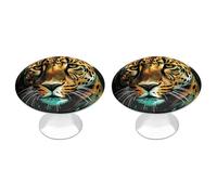 KMRHOUTIQ 2 Pack 1.1 Inch (28 Mm) Round Leopard Drawer Knobs Modern Kitchen Cabinet Knob Hardware Handles Decorative Furniture Knobs for Dresser, Cupboards, Wardrobes, Bifold Door, Closet Door