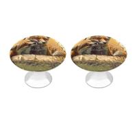 KMRHOUTIQ 2 Pack 1.1 Inch (28 Mm) Round Two Fox Animal Drawer Knobs Modern Kitchen Cabinet Knob Hardware Handles Decorative Furniture Knobs for Dresser, Cupboards, Wardrobes, Bifold Door, Closet Door