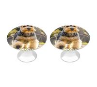 KMRHOUTIQ 2 Pack 1.1 Inch (28 Mm) Round Yorkie Puppy Drawer Knobs Modern Kitchen Cabinet Knob Hardware Handles Decorative Furniture Knobs for Dresser, Cupboards, Wardrobes, Bifold Door, Closet Door